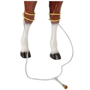 Système d'hydrothérapie leg soaker